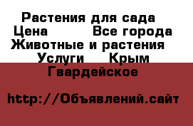 Растения для сада › Цена ­ 200 - Все города Животные и растения » Услуги   . Крым,Гвардейское